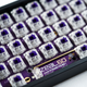 The Zeal60 PCB with switches pre-installed. (Image: ZealPC)